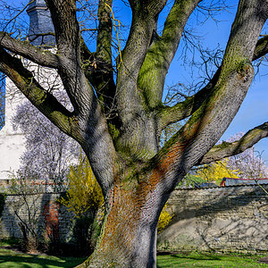 OFZ_04118.jpg