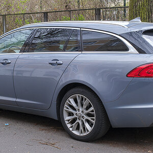 T51X0884-1.JPG