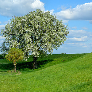 OFZ_04263.jpg
