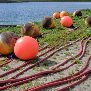 OFZ_04274.jpg
