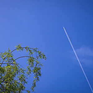 Z8A_1748.jpg
