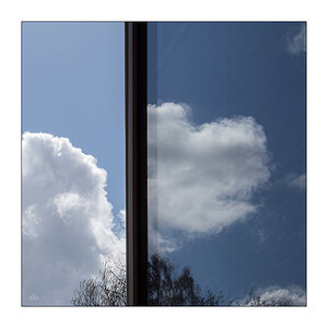 100/365 Herbert Grönemeyer – Stück vom Himmel © 2026 Sabine Lommatzsch