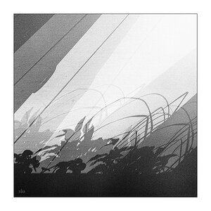 111/365 Amanda Bergman – Thought I Didn't Wake You Up © 2026 Sabine Lommatzsch