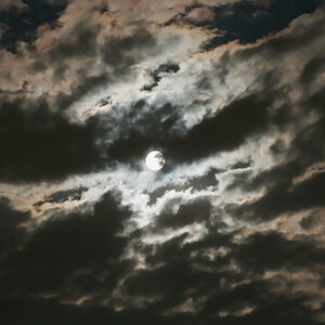 DSCN4495.jpg