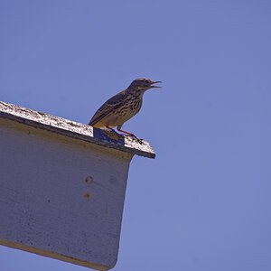 _Z509226_DxOAxl.jpg