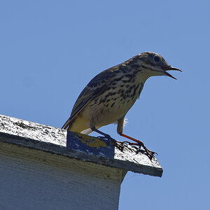 _Z509224_DxOAxl.jpg