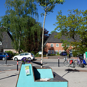 Rollbank mit Baum.jpg