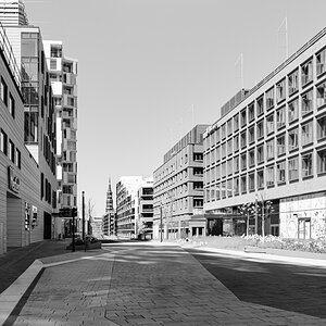 Z50_4777-005##.JPG
