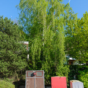 DSCF0229.jpg
