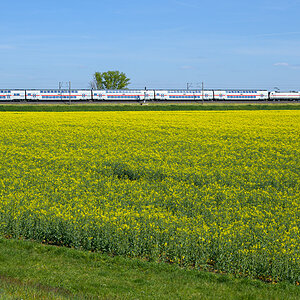 OFZ_04325.jpg