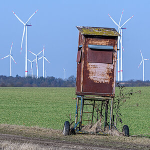 OF5_53039.jpg