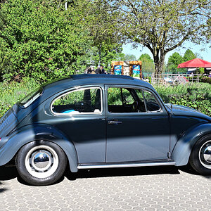 VW Käfer