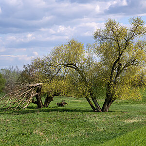 OFZ_04299.jpg