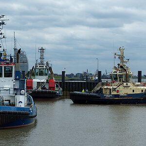B0000889.jpg