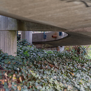 DSCF3006.jpg