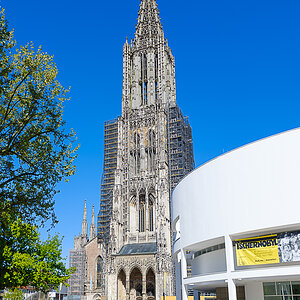 DSCF0256.jpg