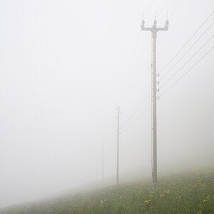 Nebel.jpg