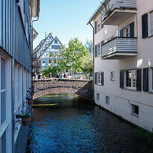 DSCF0263.jpg