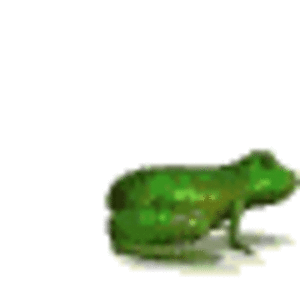 animiertes-frosch-bild-0145.gif
