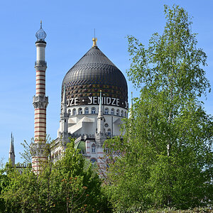 DSC_7847.JPG