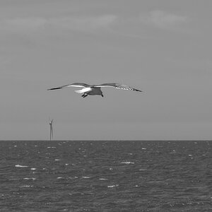 _Z509115_DxOPAxl.jpg