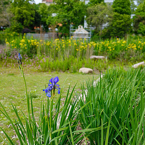 DSCF0419.jpg