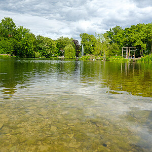 DSCF0436.jpg