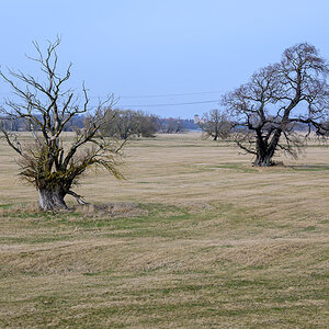 OFZ_03654.jpg