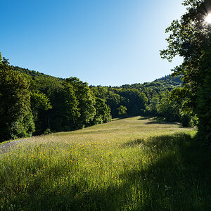Jura2.jpg