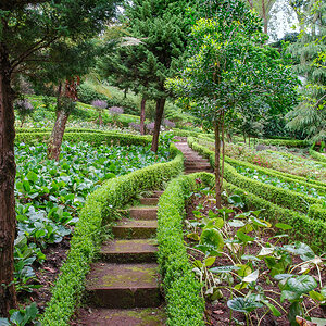 20100501-DSC_0108.jpg