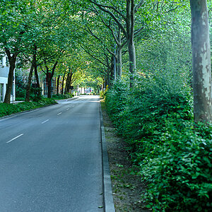 DSCF3133.jpg