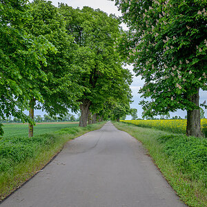 OFZ_04688.jpg