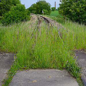 OFZ_04704.jpg