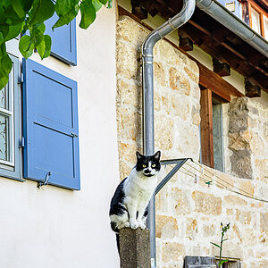 DSCF0521.jpg