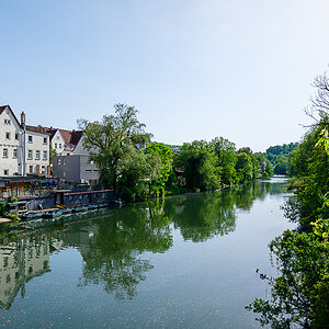 DSCF0528.jpg