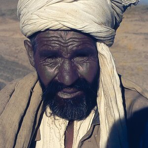 Portrait2.jpg