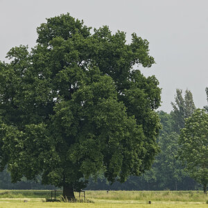 _Z509542_DxOPAxl.jpg