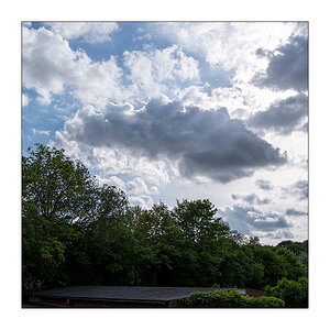 141/365 Peter Licht – Wir sollten uns halten © 2026 Sabine Lommatzsch