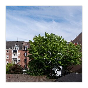 131/365 New Order – Blue Monday © 2026 Sabine Lommatzsch
