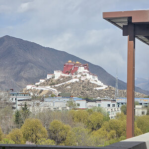 2026-04-04 19 Potala.jpg