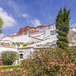 2026-04-05 20 Potala.jpg