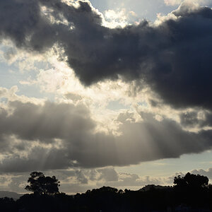 DSC_0105.JPG