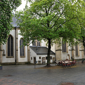 DSE_6396.JPG