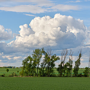 OF2_77370.jpg