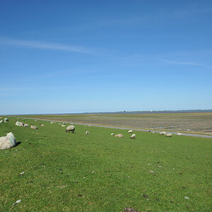 DSE_6463.JPG