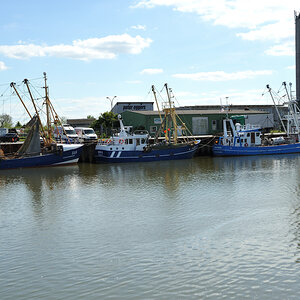 DSE_6480.JPG