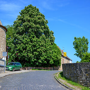 OFZ_04736.jpg