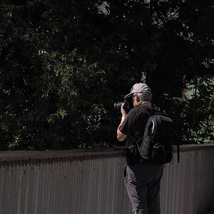 P8290130.jpg