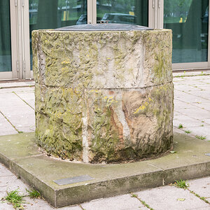 260521-D50_8796-Bearbeitet.jpg
