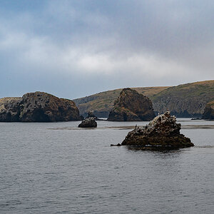DSC_4297.jpg